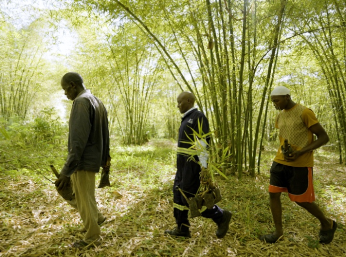 Chine-Afrique 2035 : redéfinir le futur  L'avenir en vert